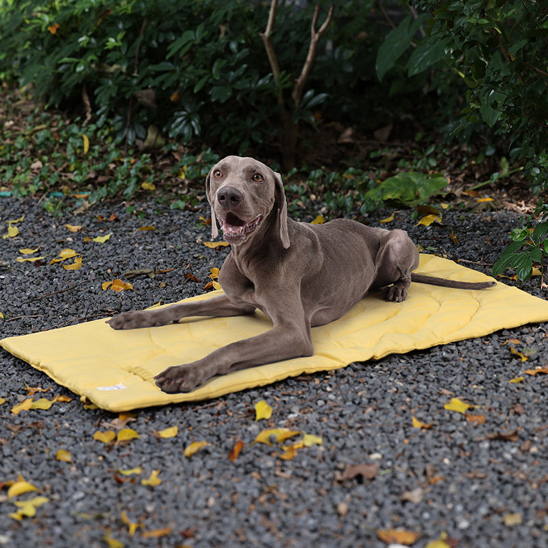 Portable Pet Mat Foldable Pet  - đánh giá và giá Outdoor Camping Rug
