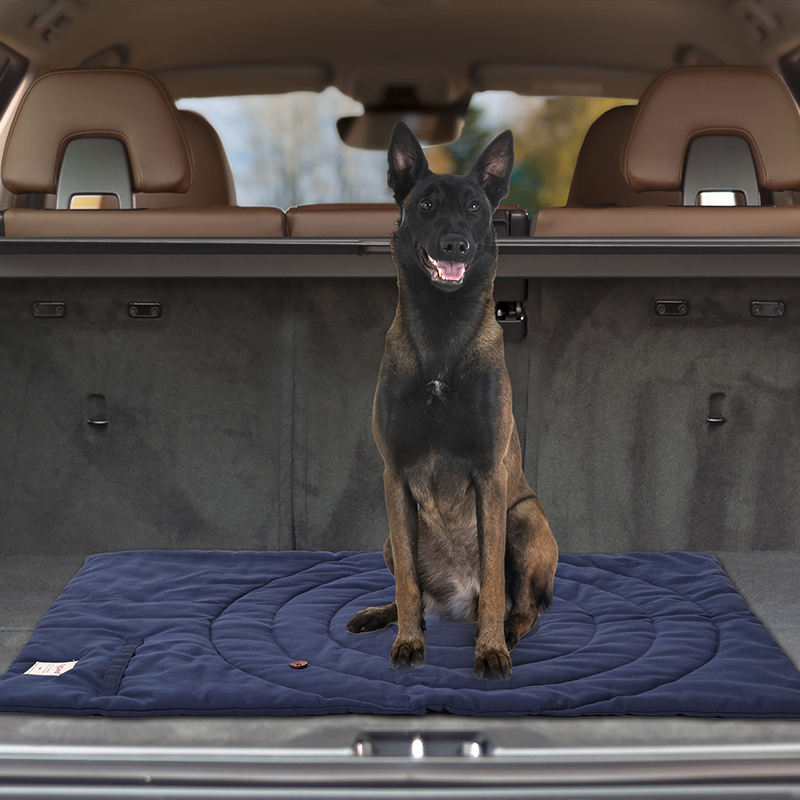 Portable Pet Mat Foldable Pet  - đánh giá và giá Outdoor Camping Rug