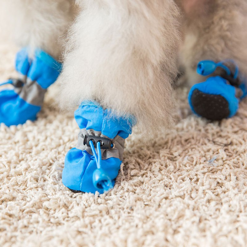 4PCS Small Dog Shoes Hiking Bo - đánh giá và giá Outdoor Camping Slippers